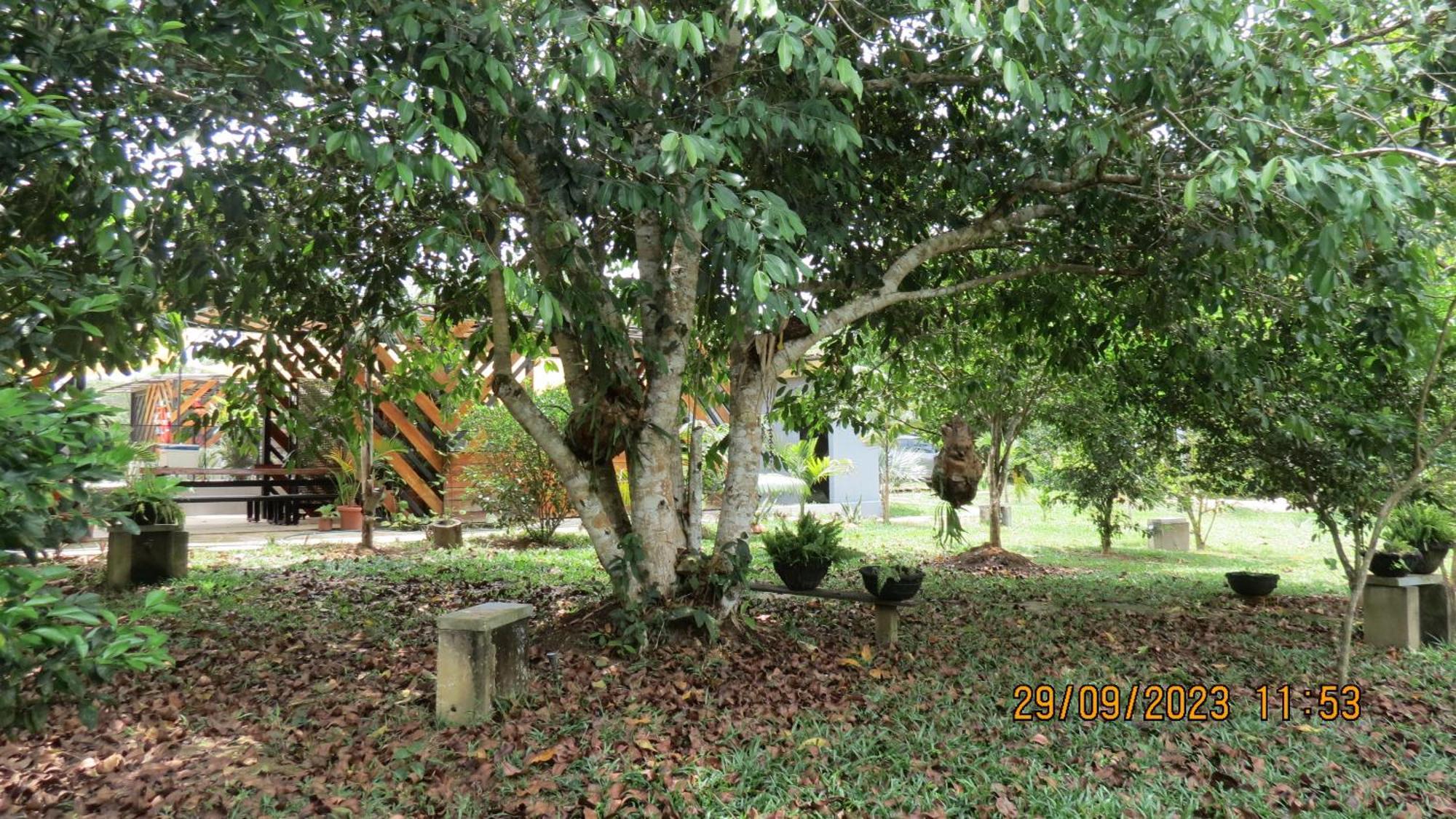 Hotel Boutique Villaliliana Leticia Dış mekan fotoğraf